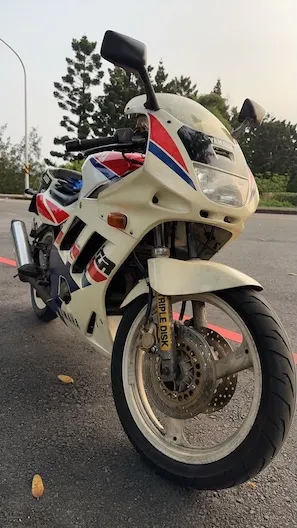 A leisurely afternoon